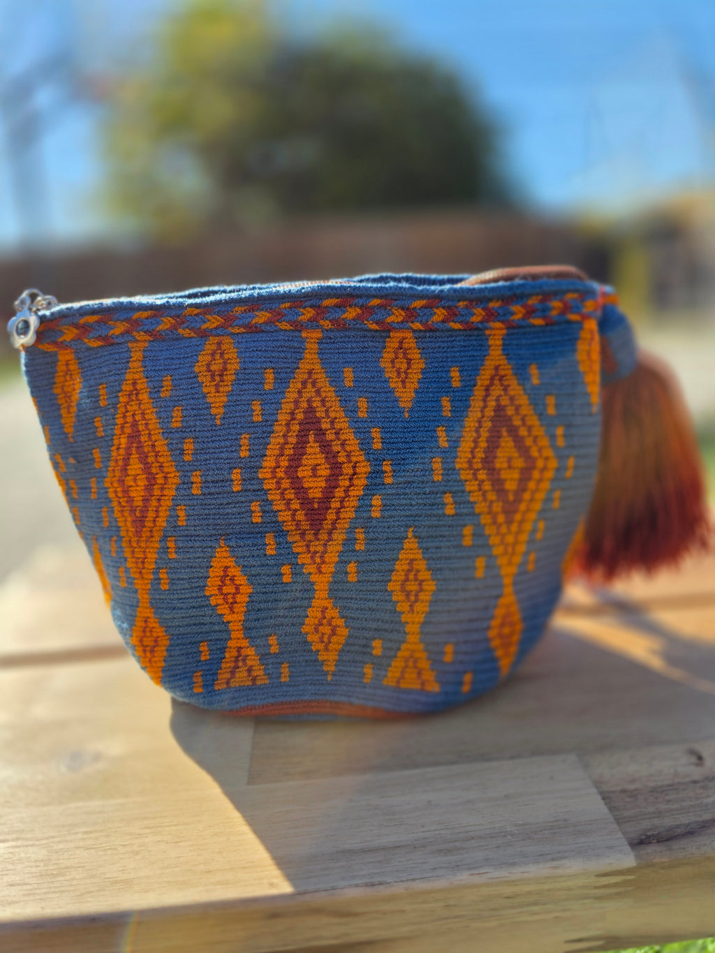 Collector’s Edition- Solar Echo Cosmetic Mochila